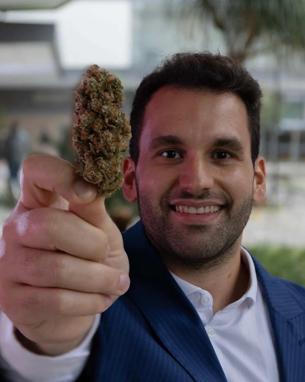 Retrato do Dr. Murilo Nicolau segurando uma flor de cannabis